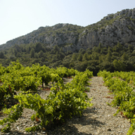 Luxury Villa in Cucugnan